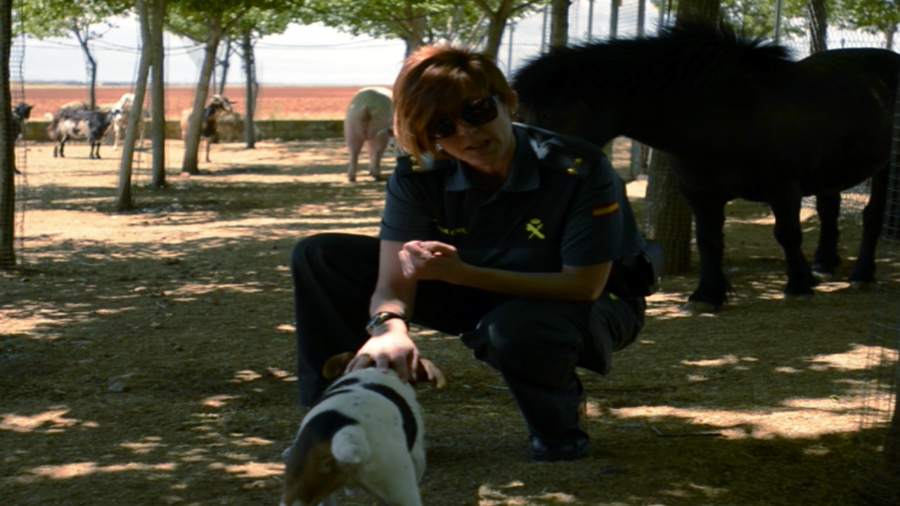 Dia mundial de los animales 02