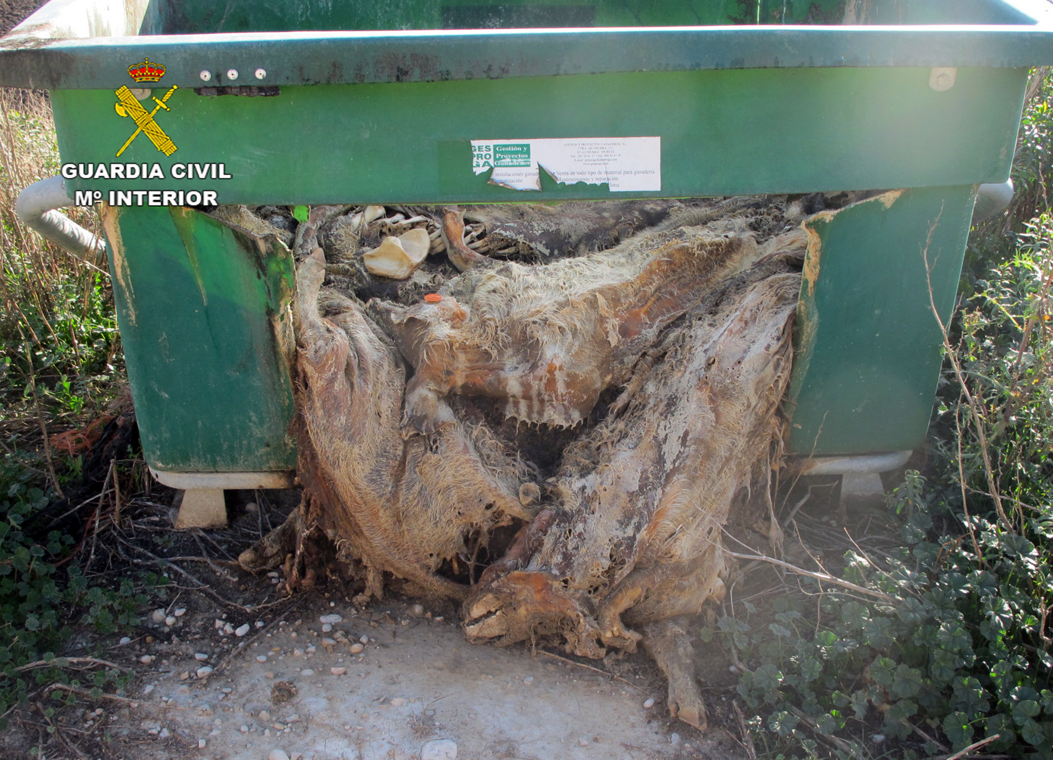 Denuncia titular de una Granja de Calasparra 04