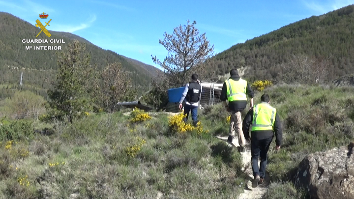 La Guardia Civil detiene a un hombre por entrenar a perros para someterlos a peleas ilegales