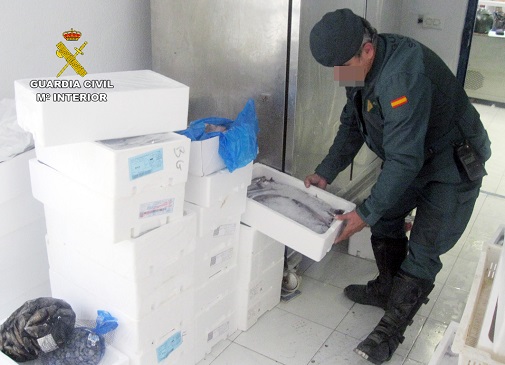 742 kilos de distintas especies marinas –doradas, besugos, potas, sardinas y bacaladillas– se encontraban a la venta en pésimas condiciones higiénico-sanitarias. Otros 182 kilos de productos pesqueros han sido intervenidos en el interior de una furgoneta en condiciones inadecuadas de refrigeración y sin autorización para el transporte de alimentos frescos