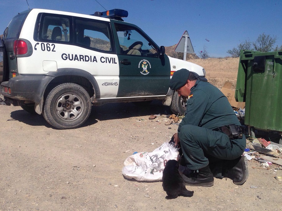 La Guardia Civil rescata a 6 cachorros que habían arrojado a un contenedor de basura