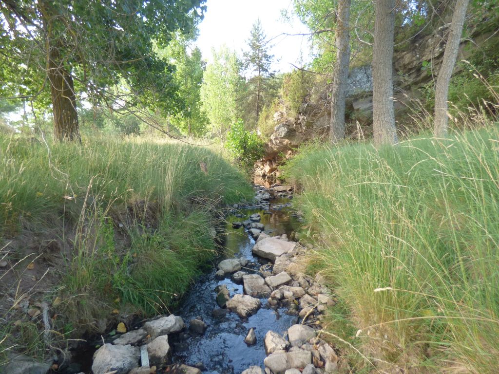 Cauce encajado en la reserva natural fluvial Río Mijares