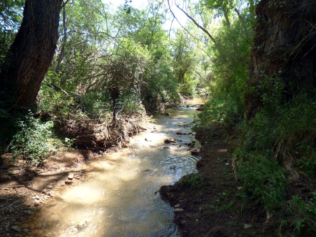 Valla ganadera en la margen en la margen del cauce de la reserva natural fluvial Río Alfambra