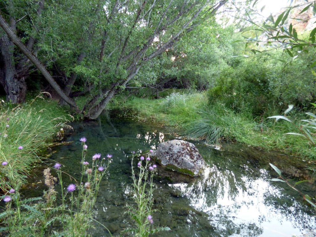 Vista del cauce y vegetación de la reserva natural fluvial Río Guadalaviar