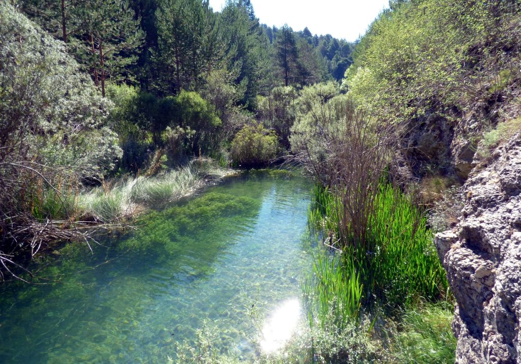 Tramo de guas lénticas en la reserva natural fluvial Río Cabriel