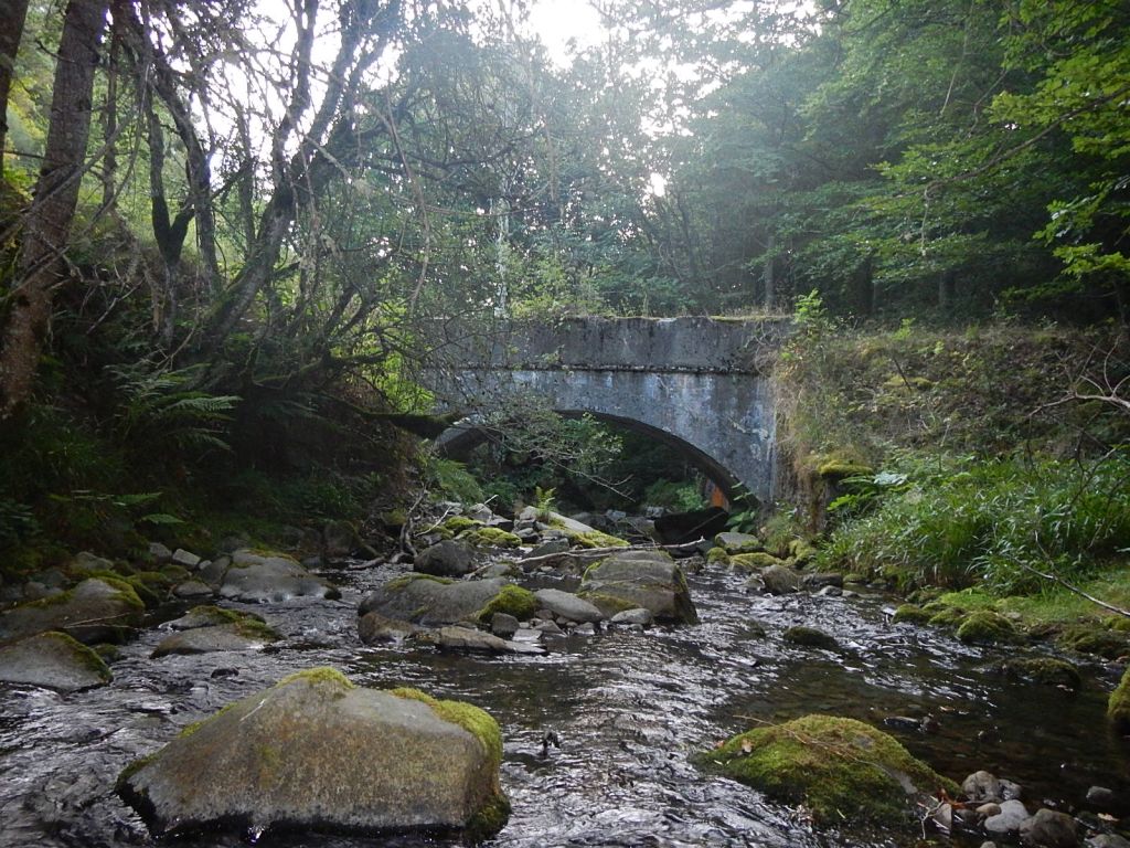 Puente sobre la reserva natural fluvial Río Tirón