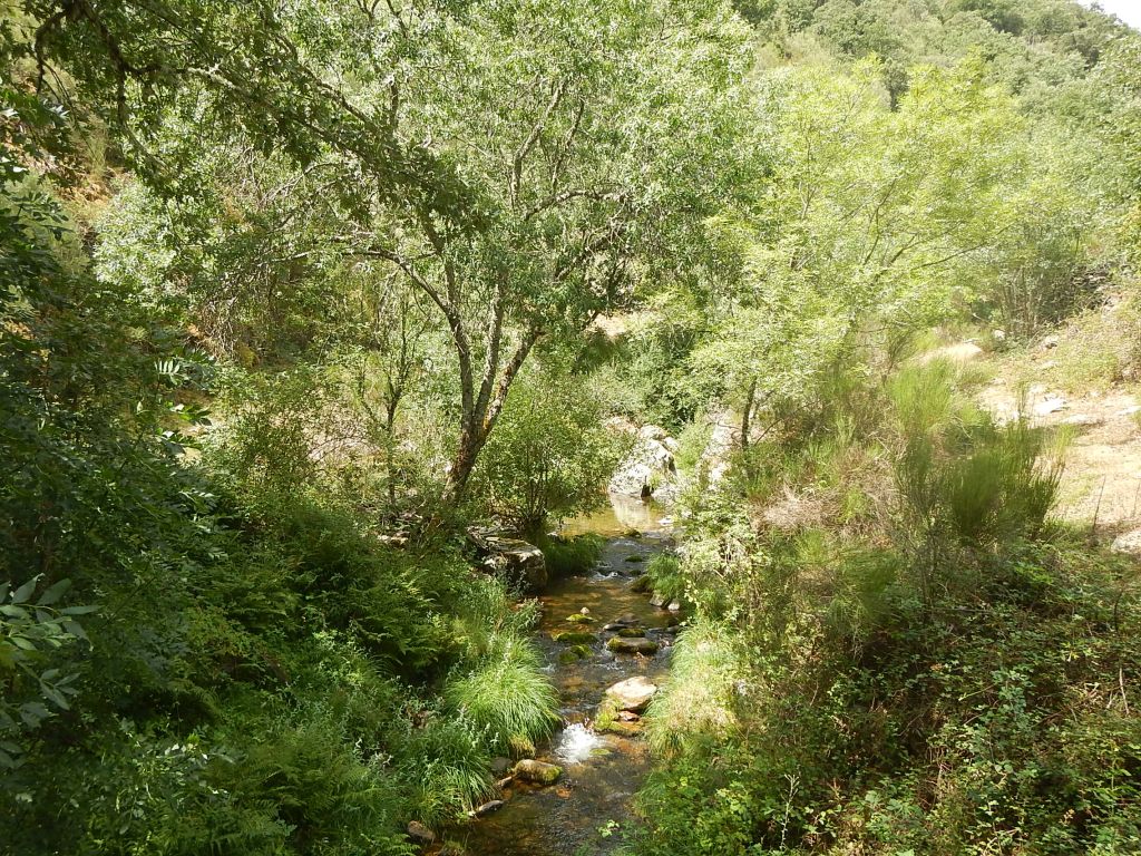 Sendero que discurre junto al cauce en la reserva natural fluvial Río Gatón