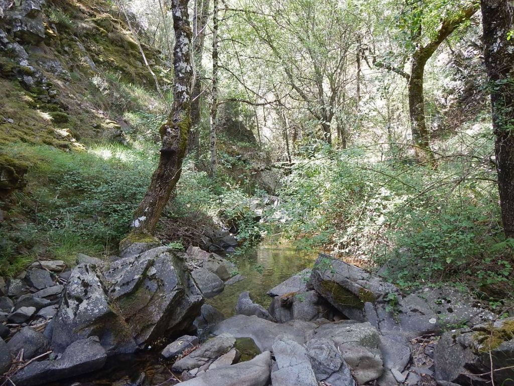 Bloques de piedra transversales al cauce en la reserva natural fluvial Río Cambrones