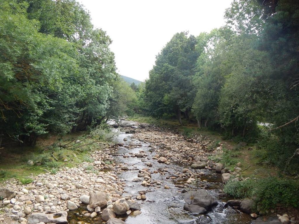 Barras laterales en la reserva natural fluvial Río Iregua