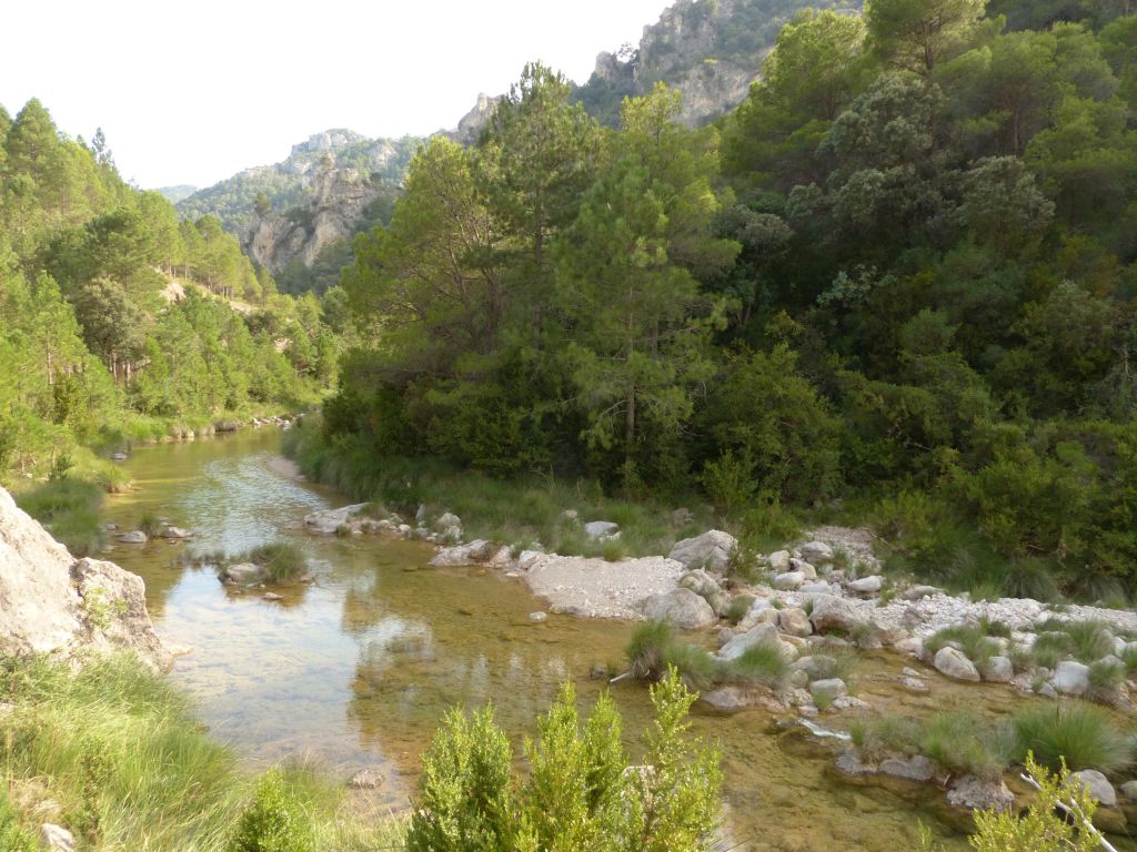 Transcurso del río entre el bosque de pinar de la reserva natural fluvial Río Ulldemó