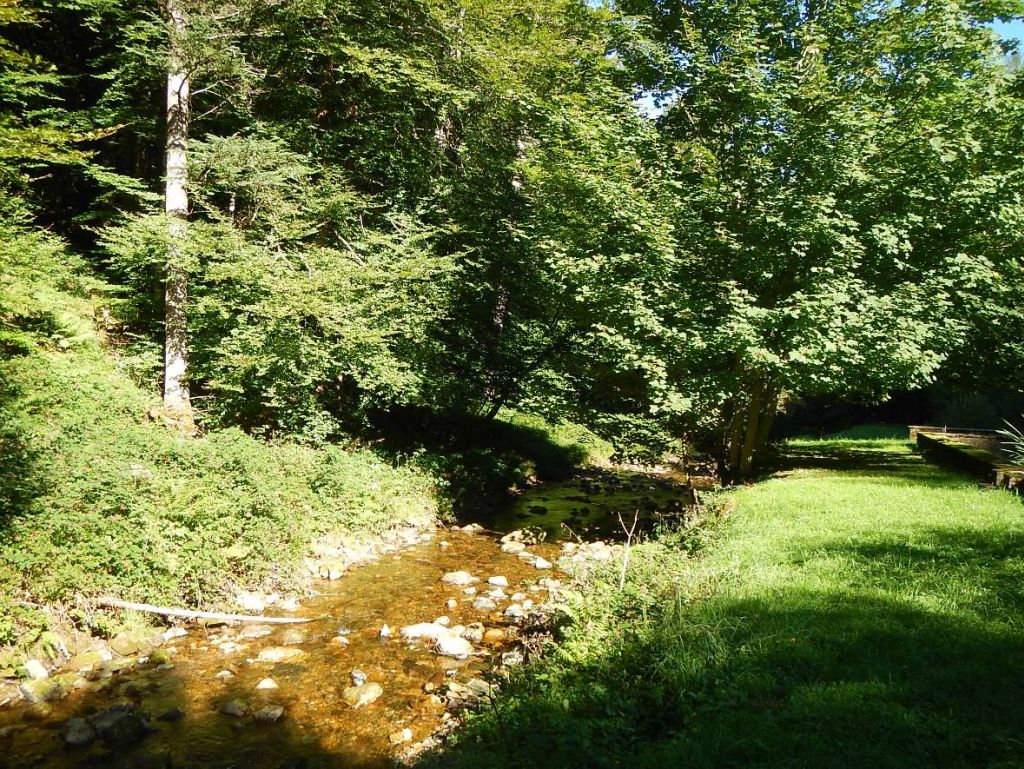 Vegetación de ribera discontinua en la reserva natural fluvial Río Arga