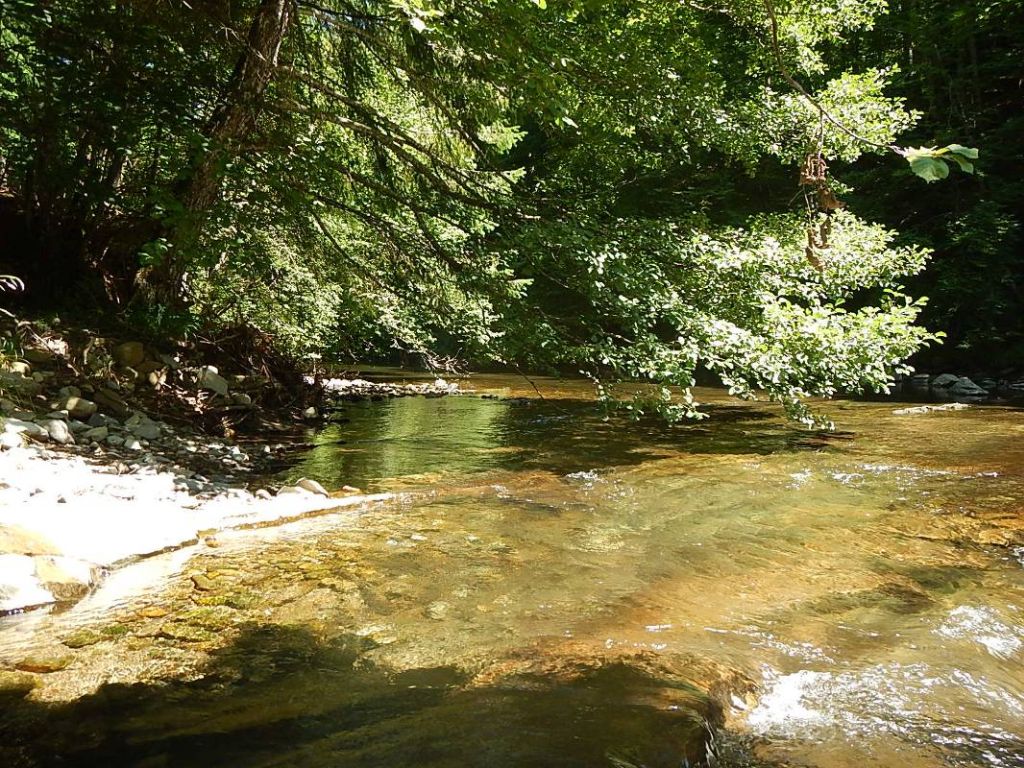 Remanso sombreado en la reserva natural fluvial Río Urbelcha