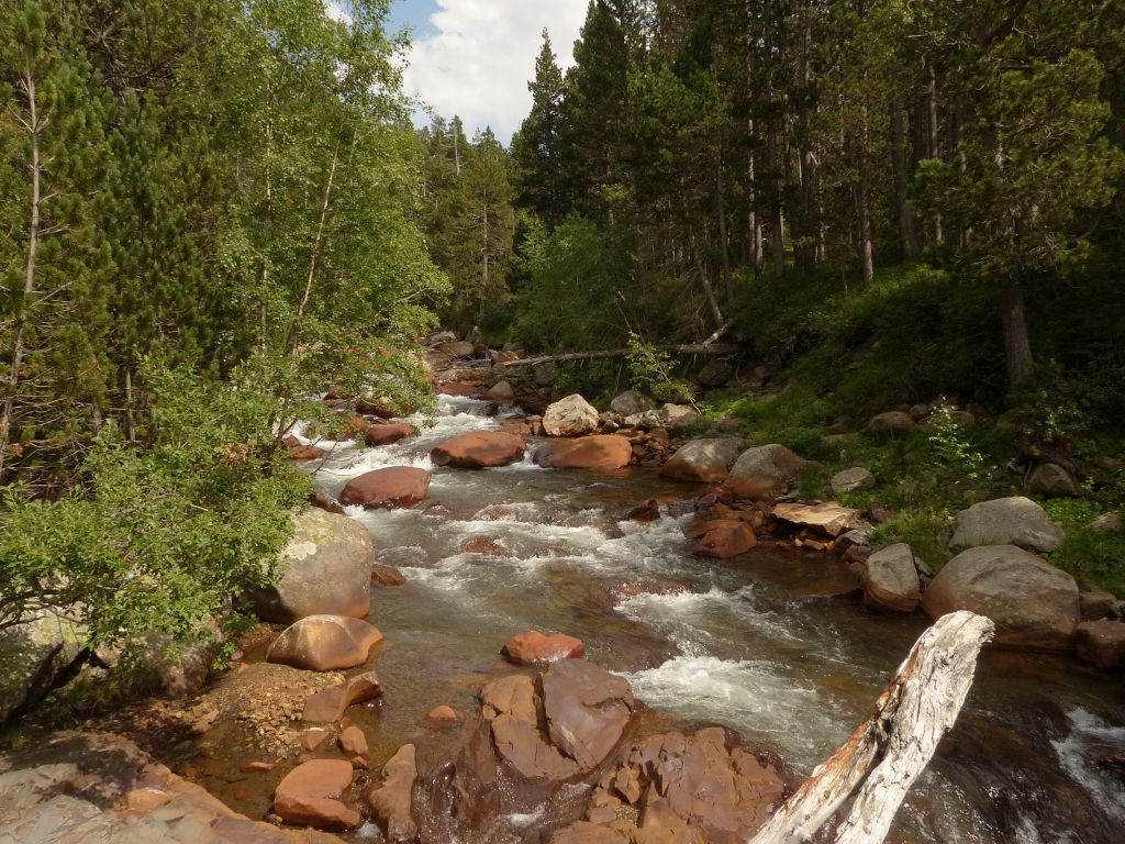 Tramo de rápidos continuos en la reserva natural fluvial Río Vallibierna