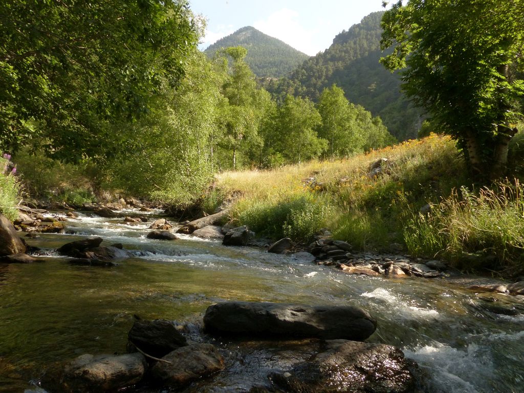 Rápidos continuos en la reserva natural fluvial Río Tor