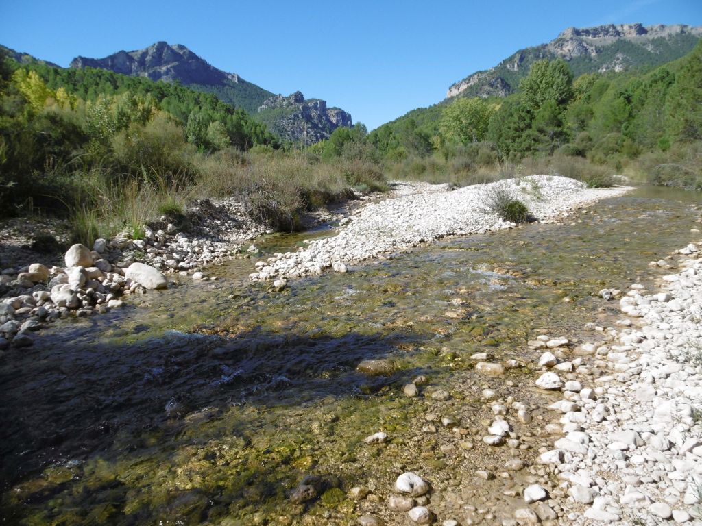 Islas en el cauce de la reserva natural fluvial Río Tus