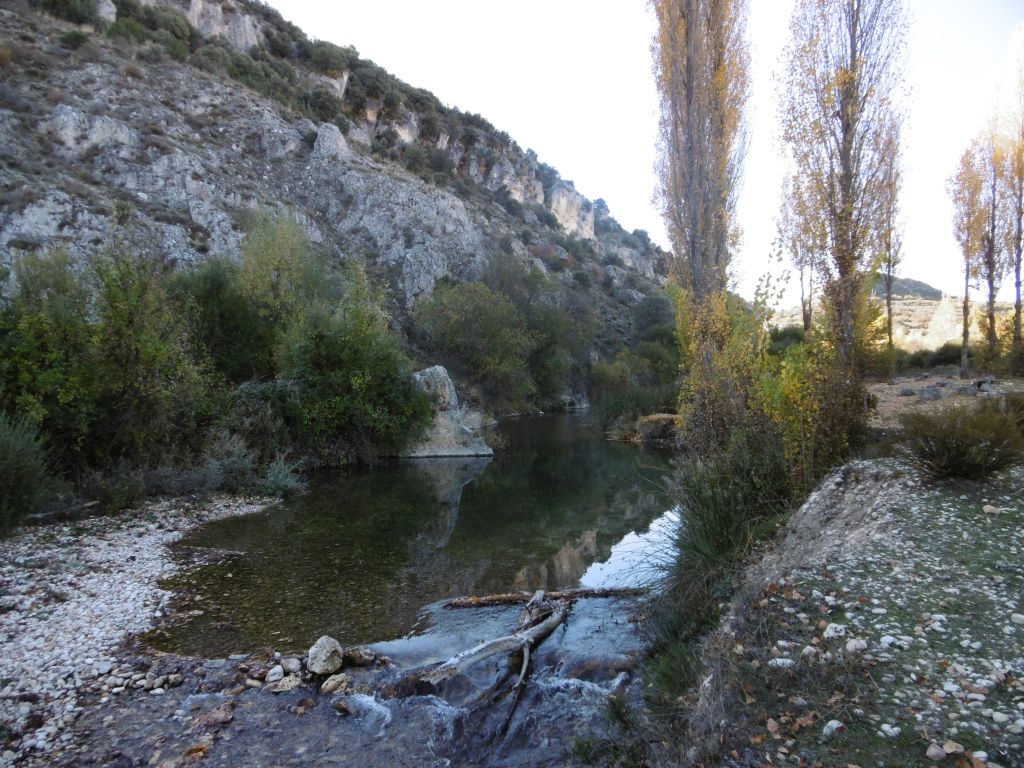 Sustrato de grava y cantos en la reserva natural fluvial Rio Zumeta