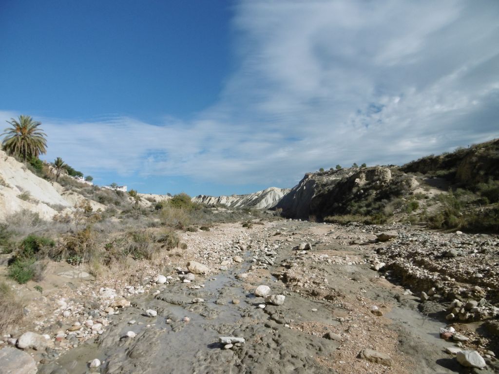 Cauce y llanura de inundación de la reserva natural fluvial Río Chícamo