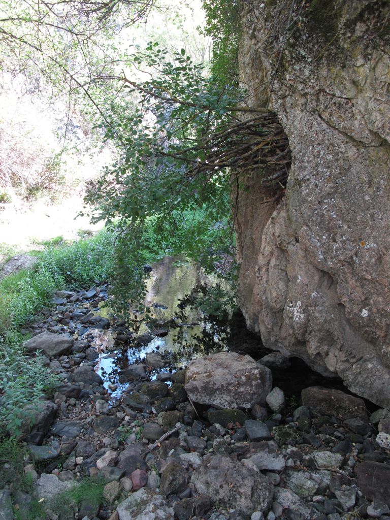 Cauce en aguas bajas en la reserva natural fluvial Río Noguera