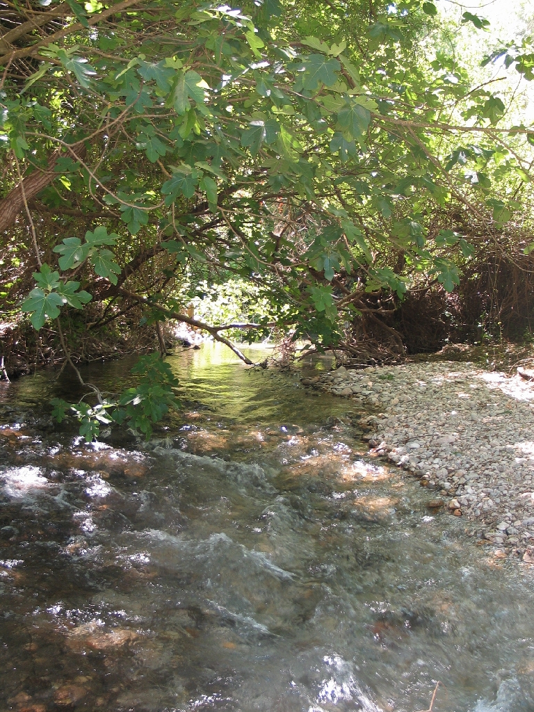 Reserva Natural Fluvial Arroyo Ballestero