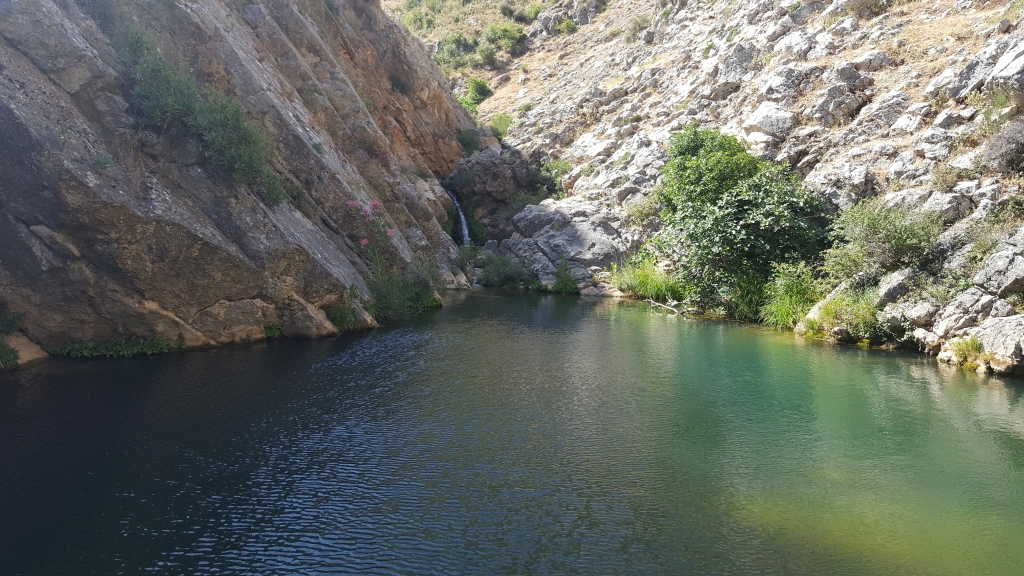 Reserva Natural Fluvial Alto Guadalevín