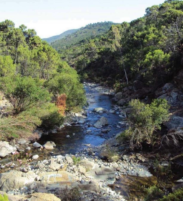 Reserva Natural Fluvial Alto Guadalmansa