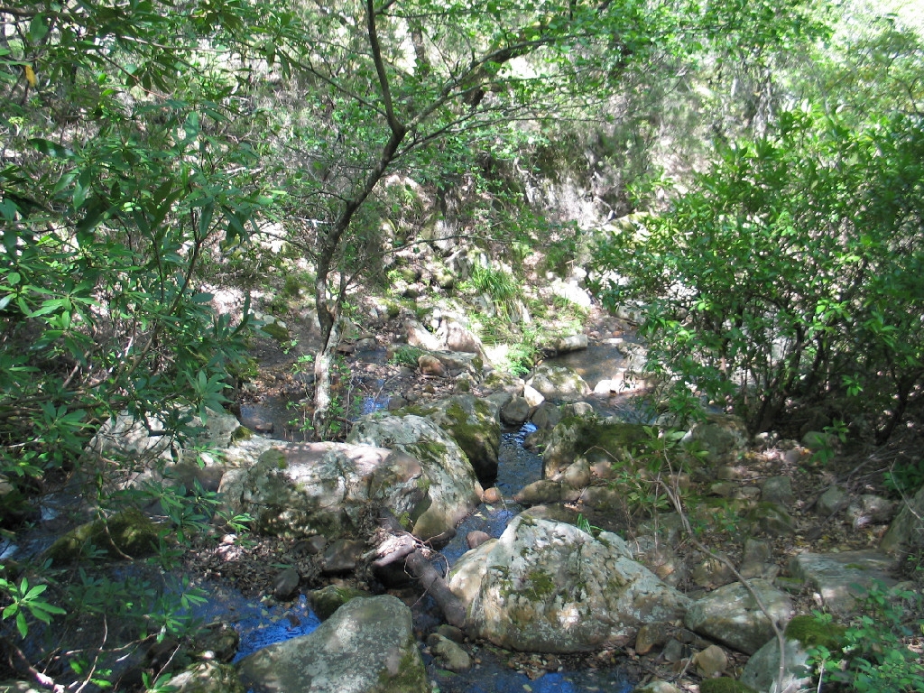 Reserva Natural Fluvial Garganta del Aliscar