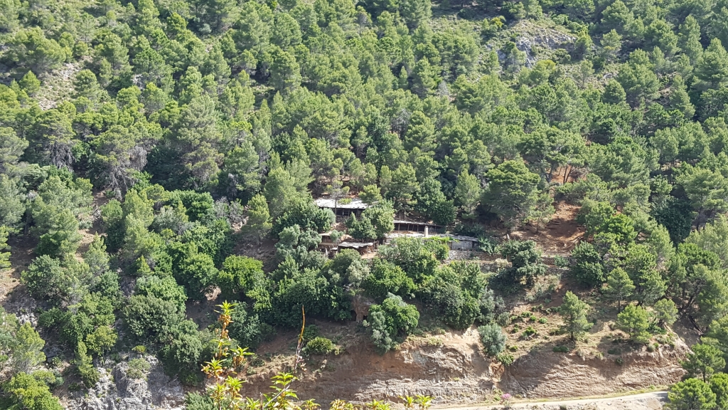 Reserva Natural Fluvial Cabecera Verde de Marbella