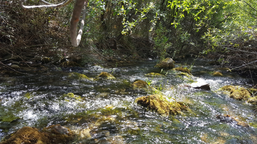 Reserva Natural Fluvial Cabecera Verde de Marbella