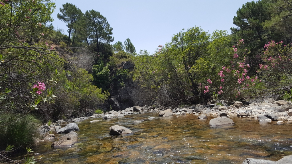 Reserva Natural Fluvial Medio-Alto Verde de Marbella