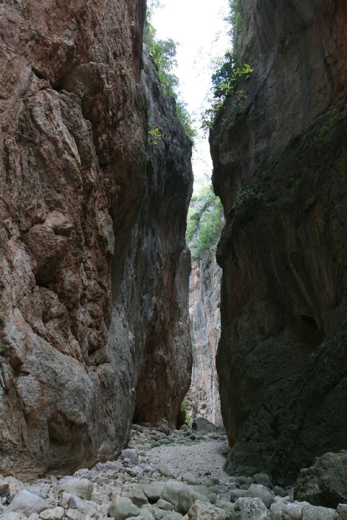 Reserva Natural Fluvial Arroyo Ballestero