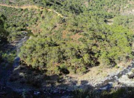 Reserva Natural Fluvial Alto Guadalmansa