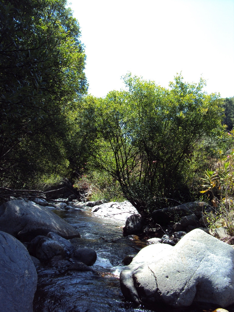 Reserva Natural Fluvial Alto Guadaiza