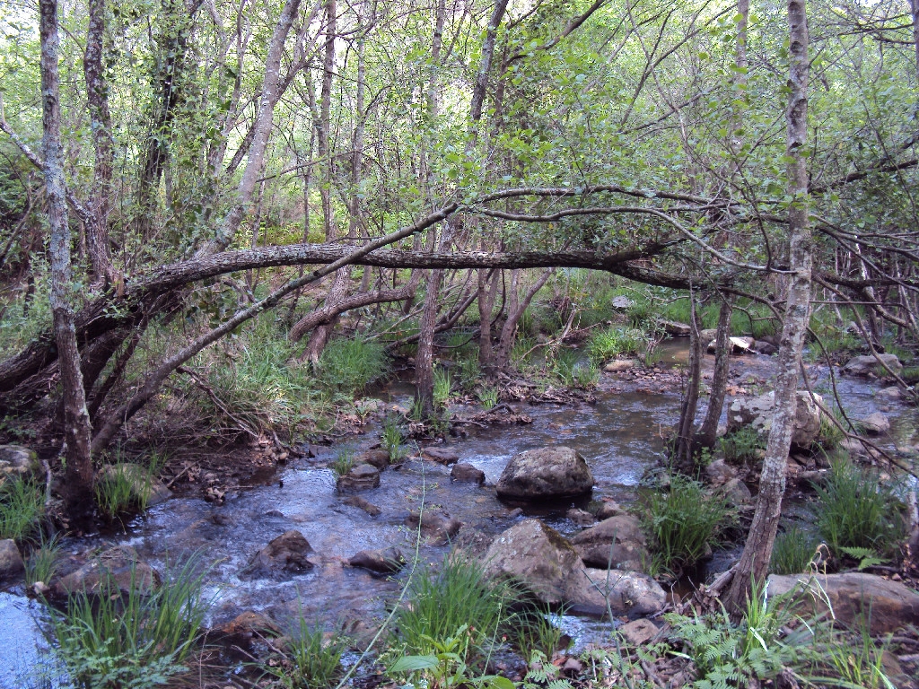 Reserva Natural Fluvial Valdeinfierno - La Hoya