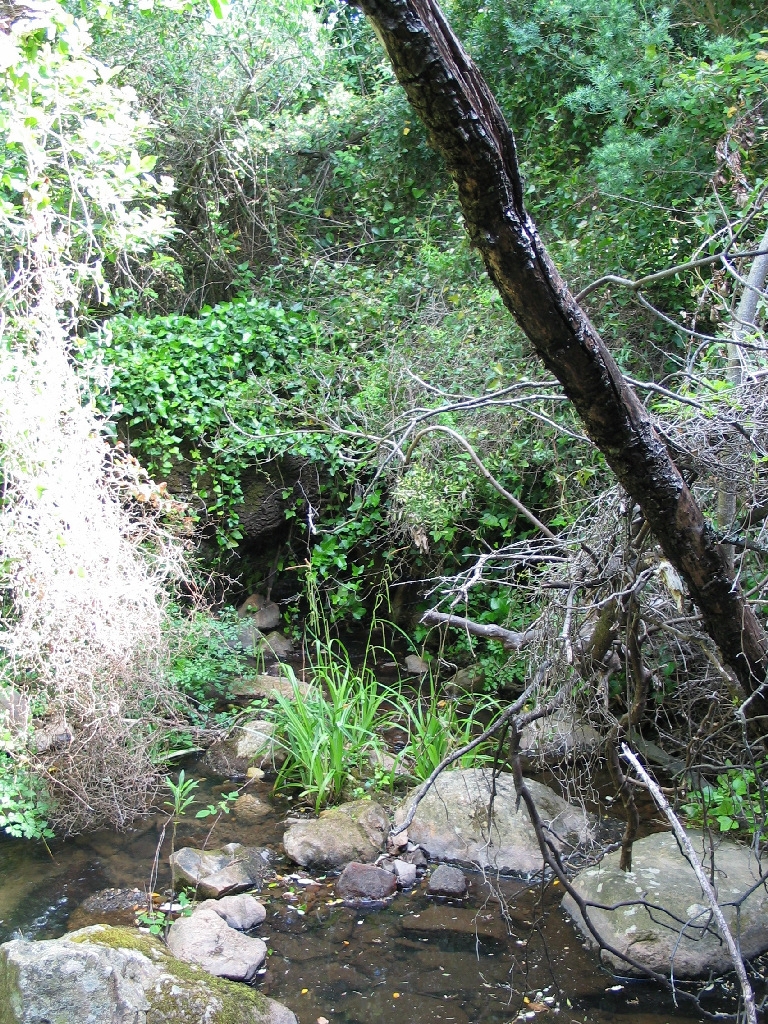 Reserva Natural Fluvial Garganta del Aliscar