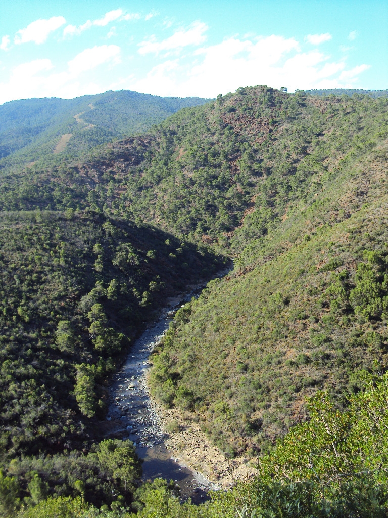 Reserva Natural Fluvial Alto Guadalmansa