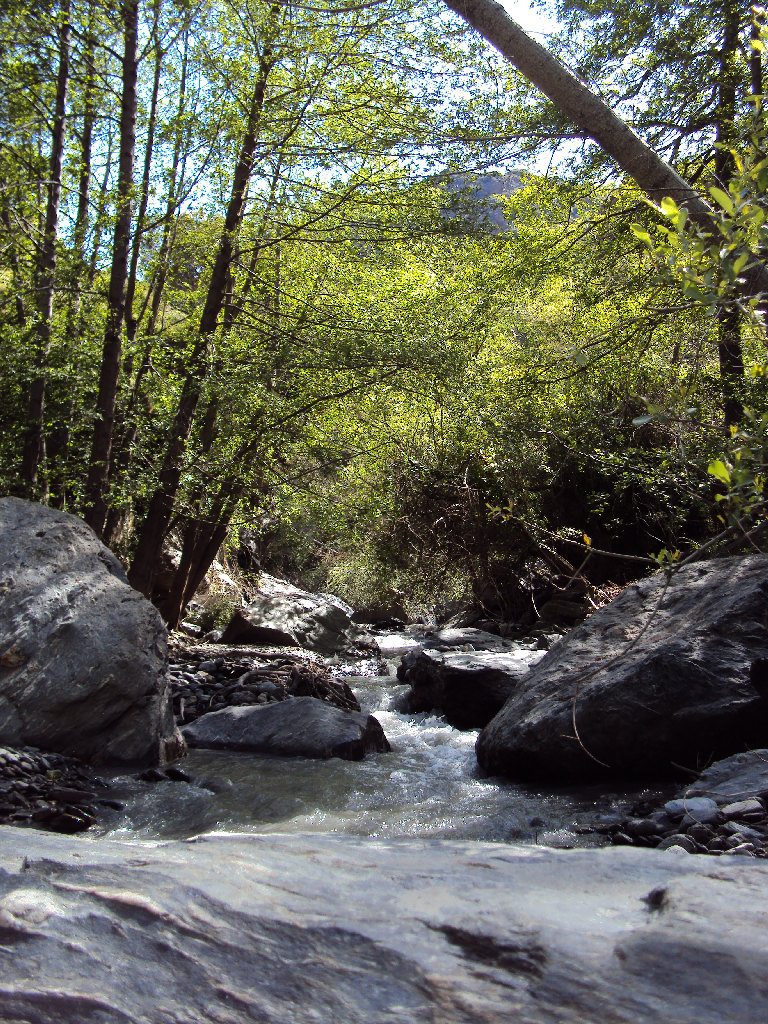 Reserva Natural Fluvial Alto Poqueira