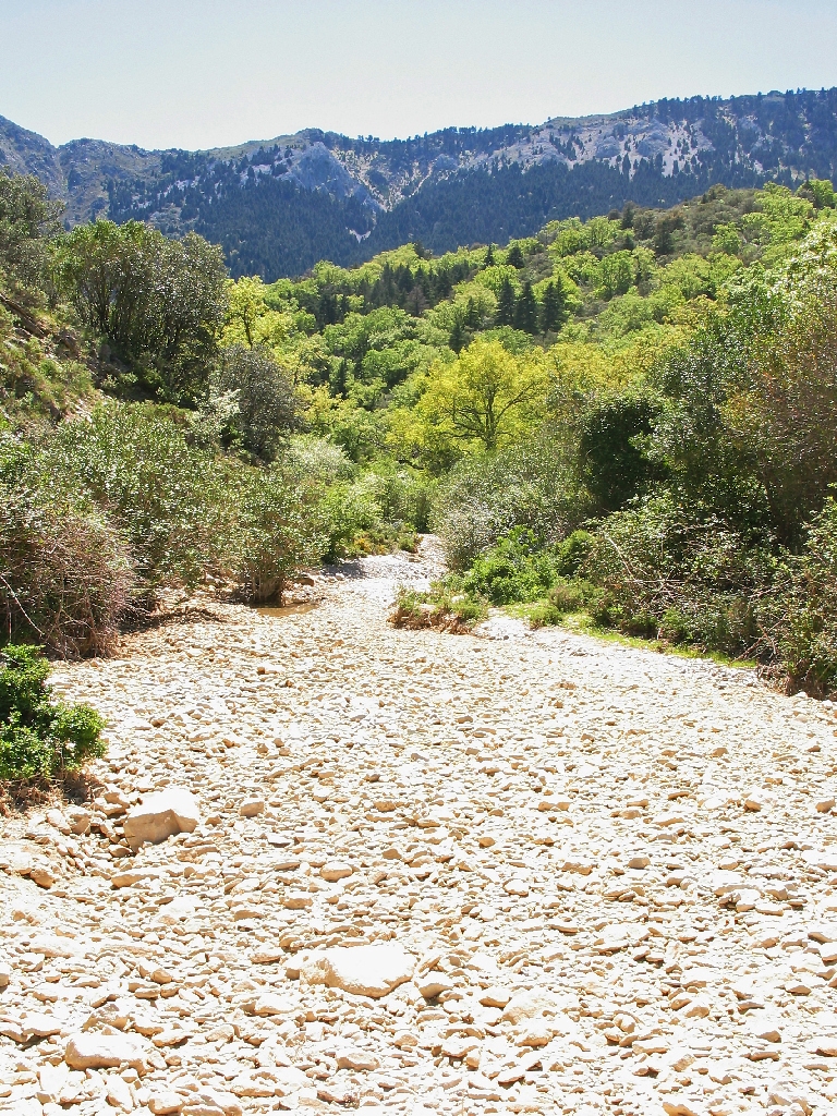 Reserva Natural Fluvial Arroyo Ballestero 