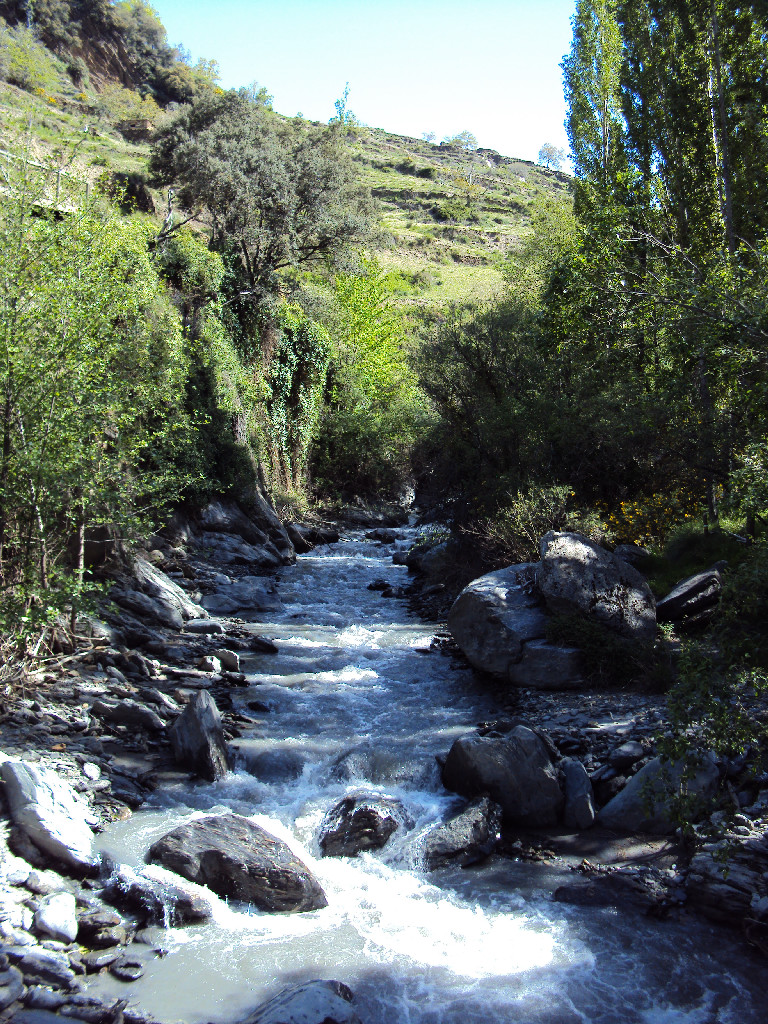 Reserva Natural Fluvial Alto Poqueira