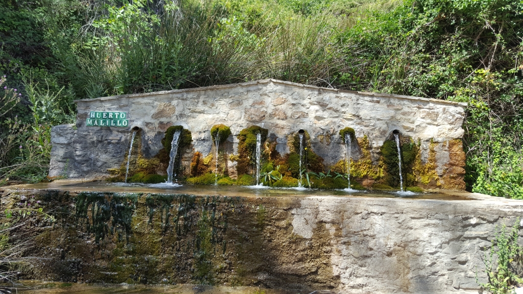 Reserva Natural Fluvial Alto Guadalevín