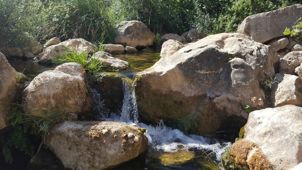 Reserva Natural Fluvial Alto Guadalevín