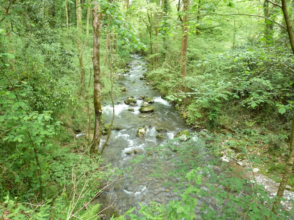 Reserva Natural Fluvial Altzolaratz