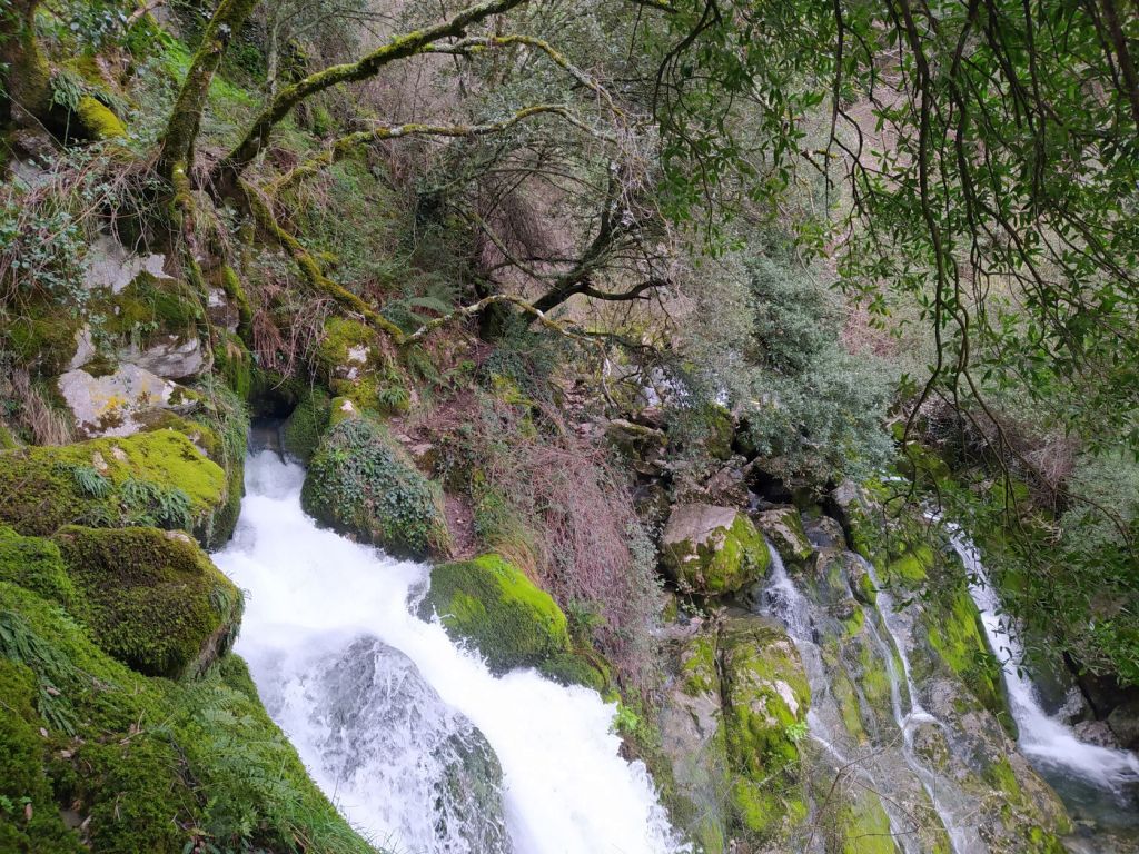 Portada ( Manantial del río Cadagua)