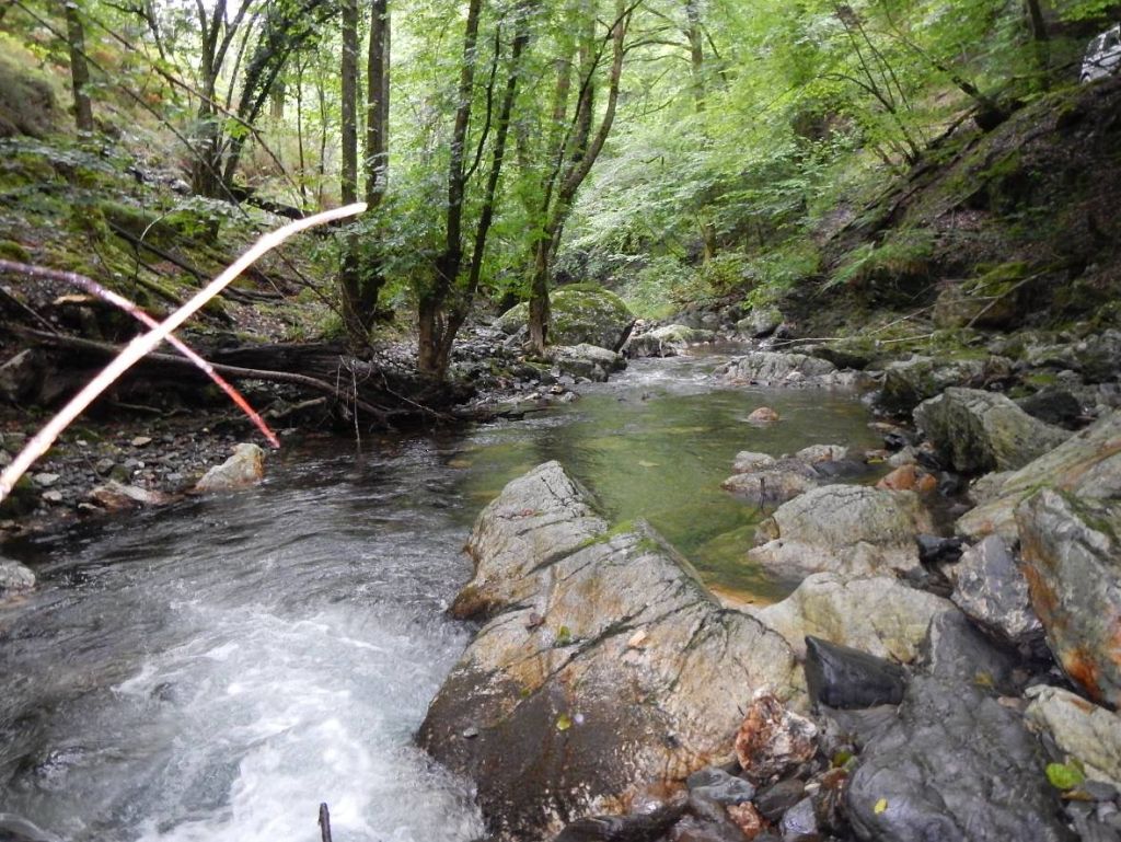 Grandes bloques en el cauce de la reserva natural fluvial Cabecera del río Añarbe