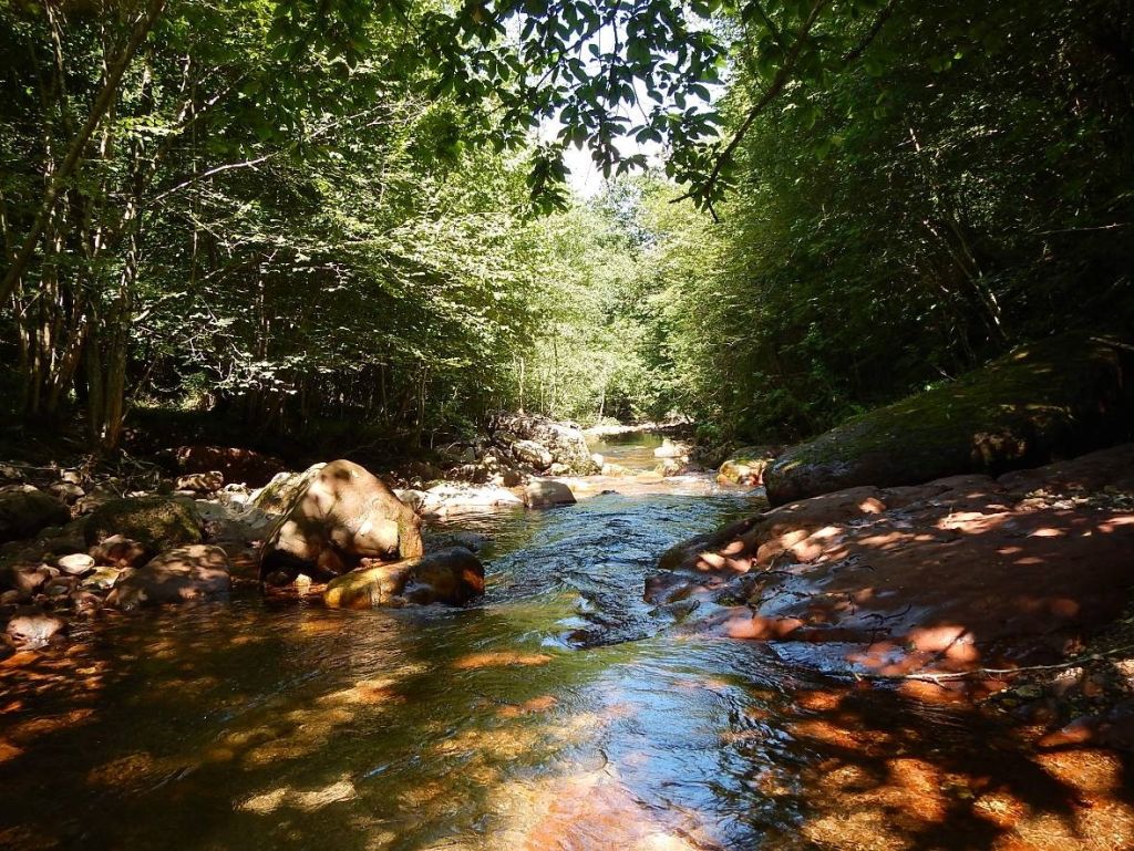 Secuencia rápido-remanso en la reserva natural fluvial Ríos Urrizate-Aritzacun