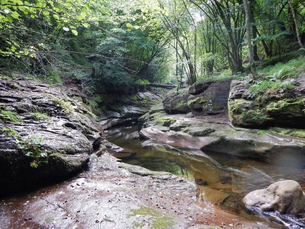 Cauce escavado sobre roca en la reserva natural fluvial Ríos Urrizate-Aritzacun