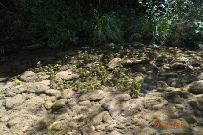Reserva Natural Fluvial Cabecera de la Glorieta