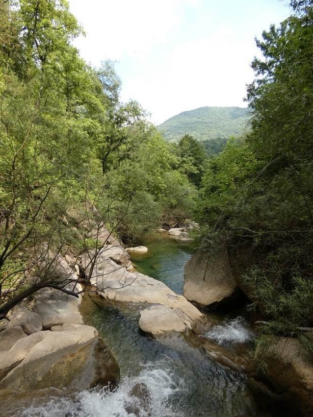 Reserva Natural Fluvial Cabecera del Gurn