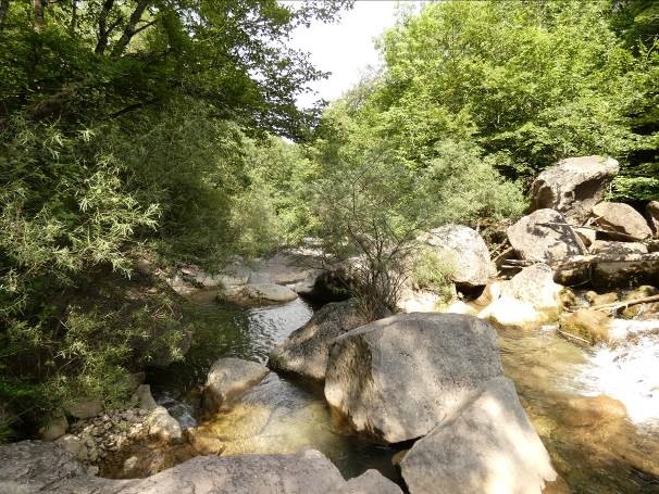 Reserva Natural Fluvial Cabecera del Gurn