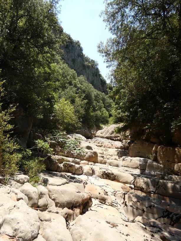 Reserva Natural Fluvial Cabecera de la Muga