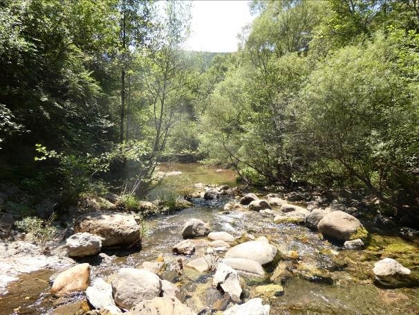Reserva Natural Fluvial Cabecera de la Muga